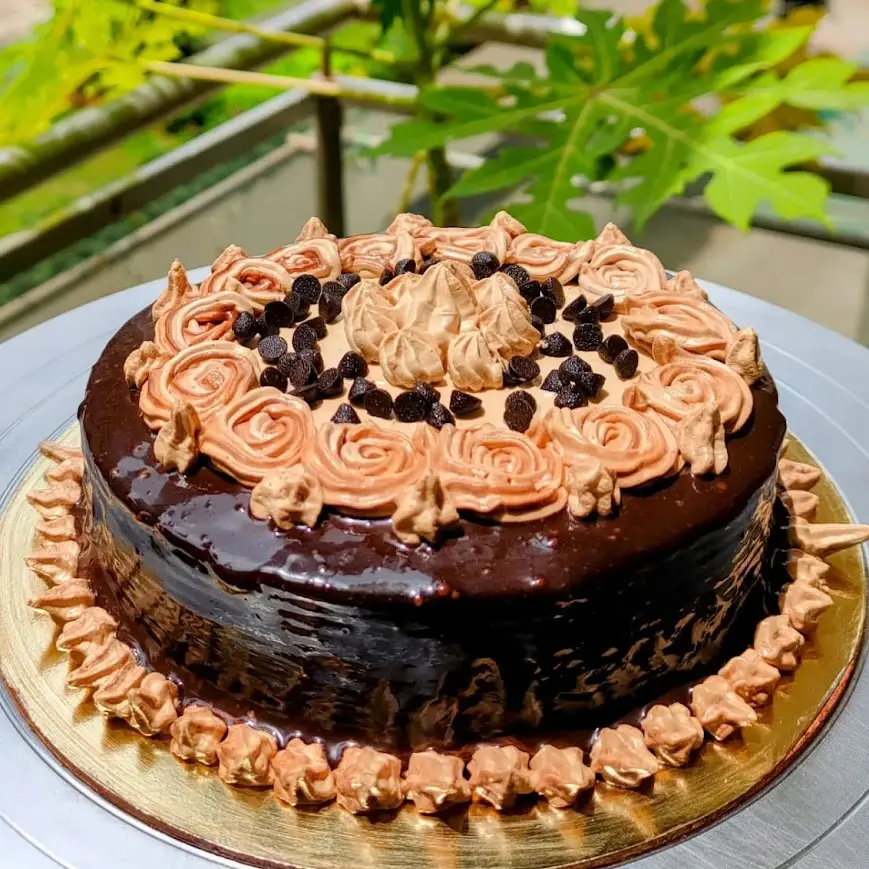 Chocolate Choco Chips Cake -z2.webp