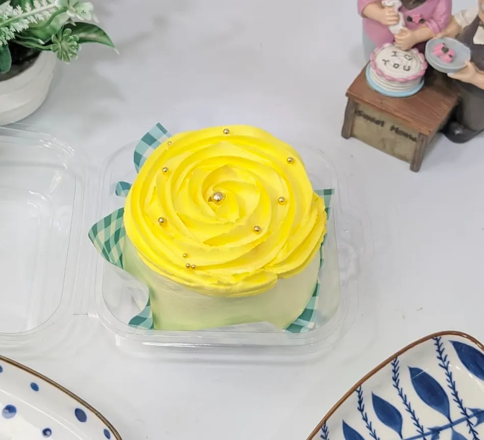 Pineapple Bento Cake D2 - Studio