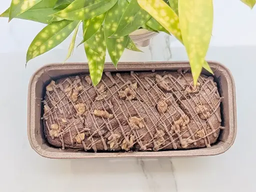 Healthy Dates Walnut Tea Cake - 500gms